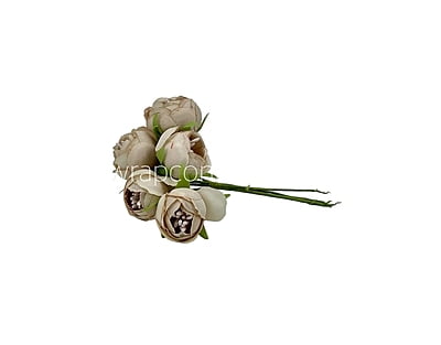 Peonies on stick - Sand Peonies on stick - Sand