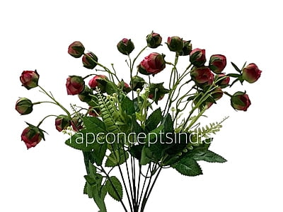 Peach Peony Bunch