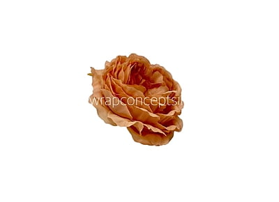 Small Ornate Peony-Blush