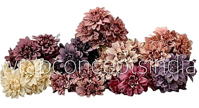 Dahlia Tall Bunch