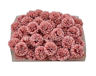 Small Carnation - Flamingo