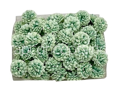 Small Carnation - Pistachio