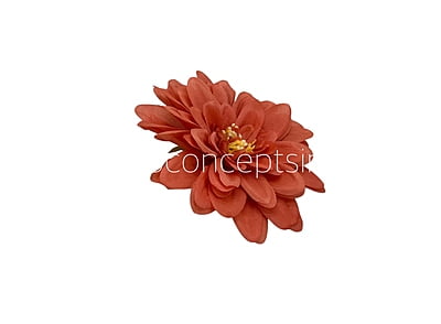 Royal Orange Dahlias