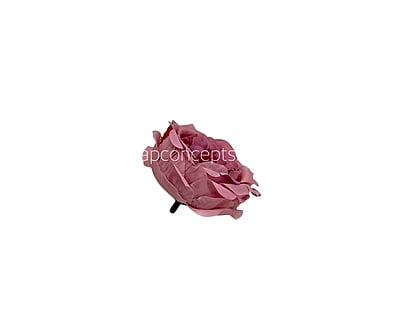 Candy Floss Small Ornate Peonies