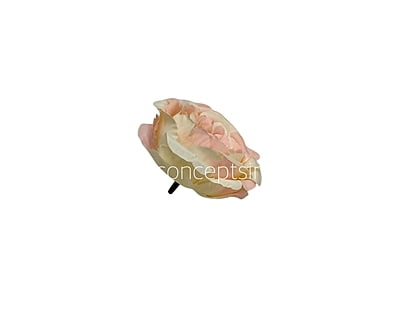 Peach Small Ornate Peonies