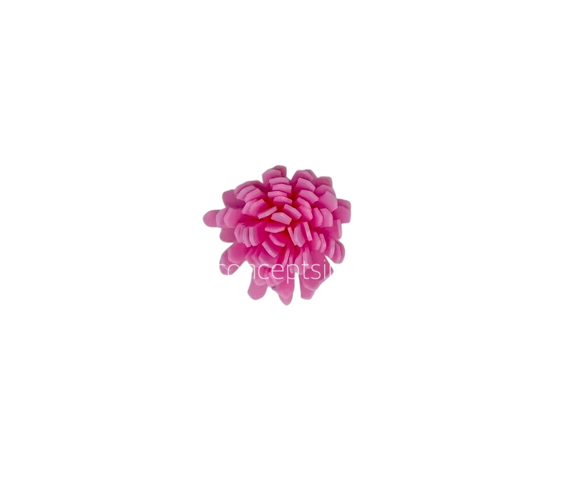 Pink Foam Carnation Pink Foam Carnation