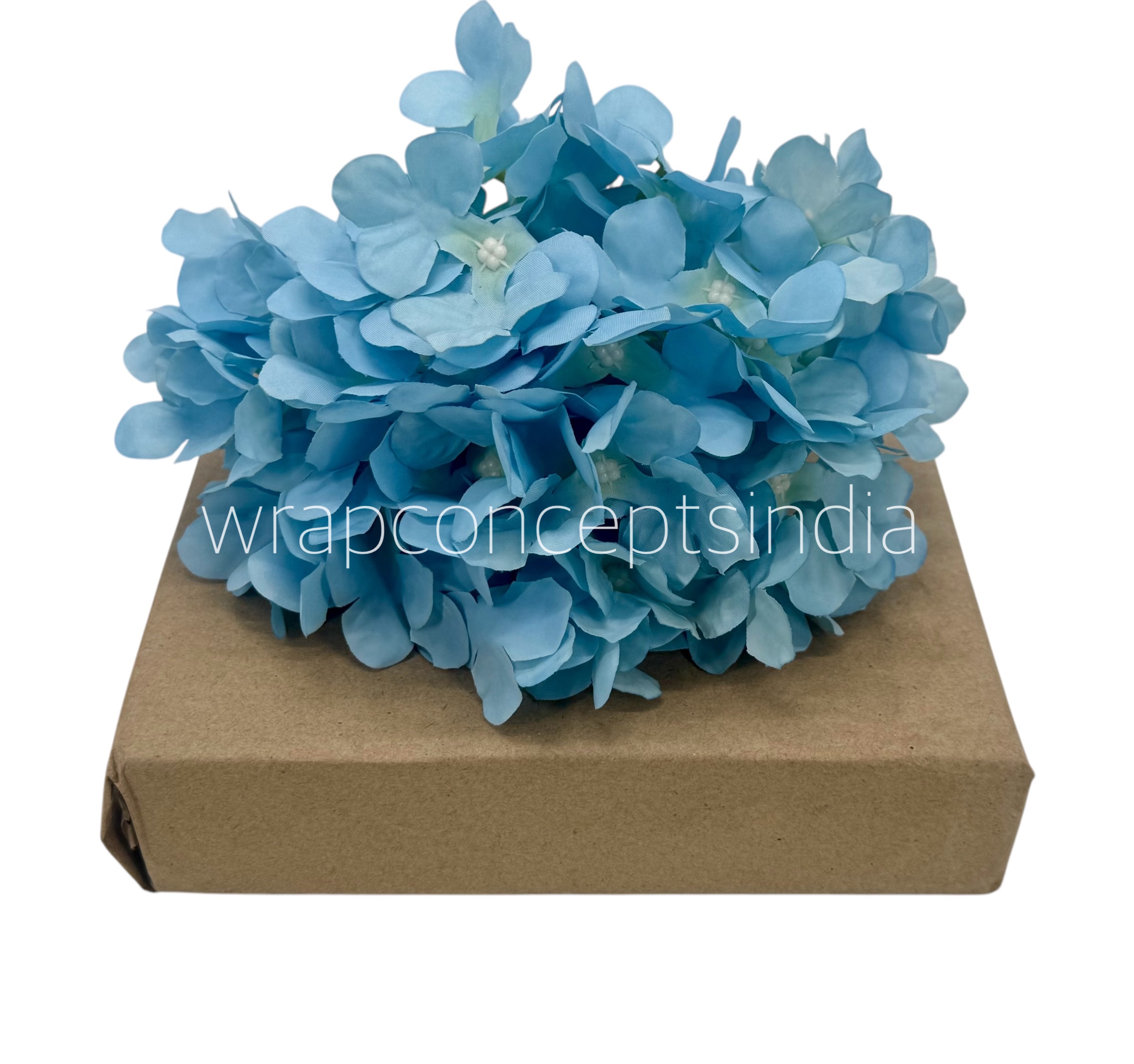 Sky Hydrangeas Sky Hydrangeas