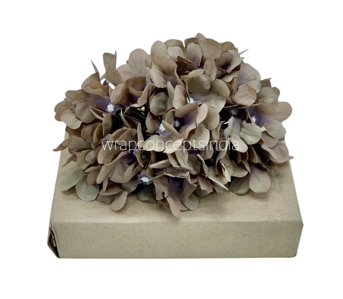 Ash Hydrangeas Ash Hydrangeas