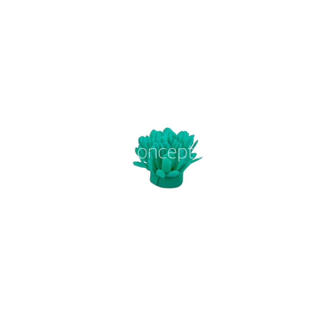 Sea Green Foam Carnation Sea Green Foam Carnation