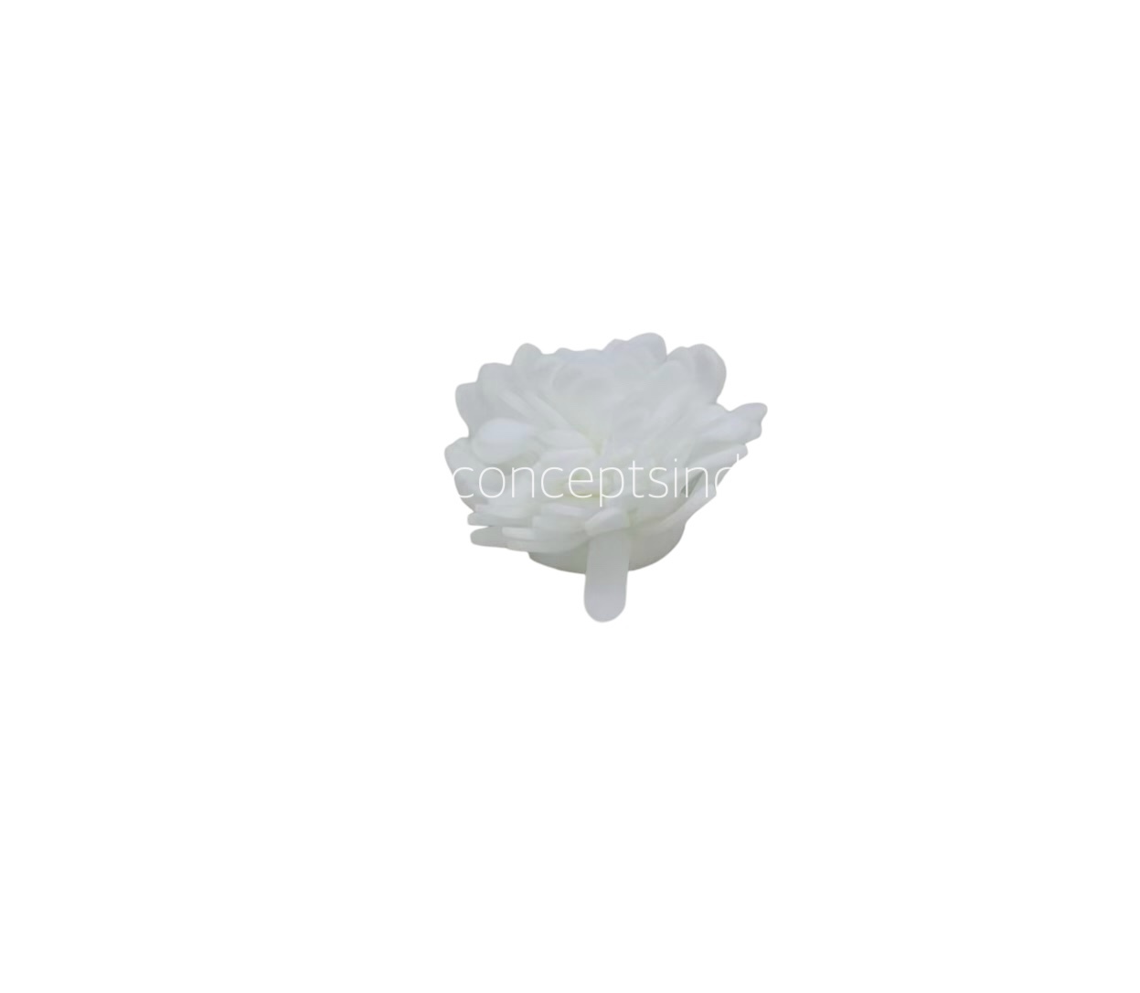 White Foam Carnation