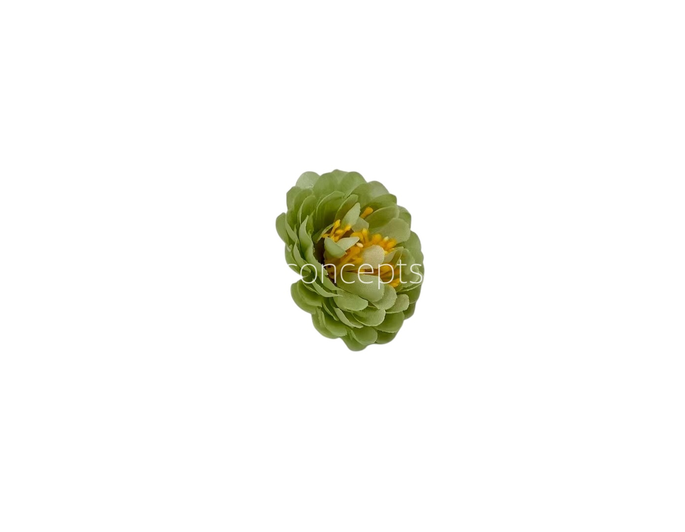 Pistachio Small Dahlia