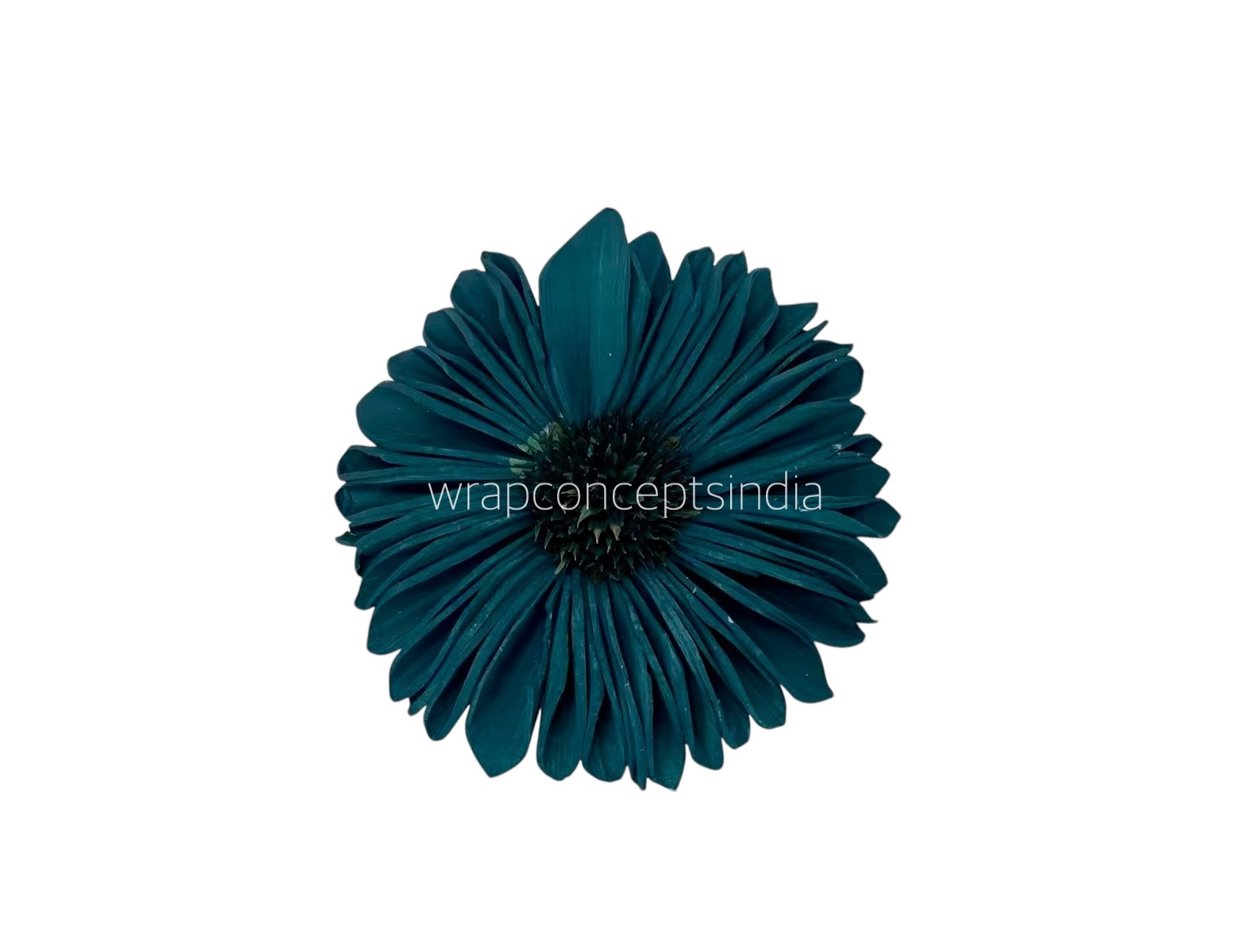 Teal Sola Wood Gerberas Teal Sola Wood Gerberas