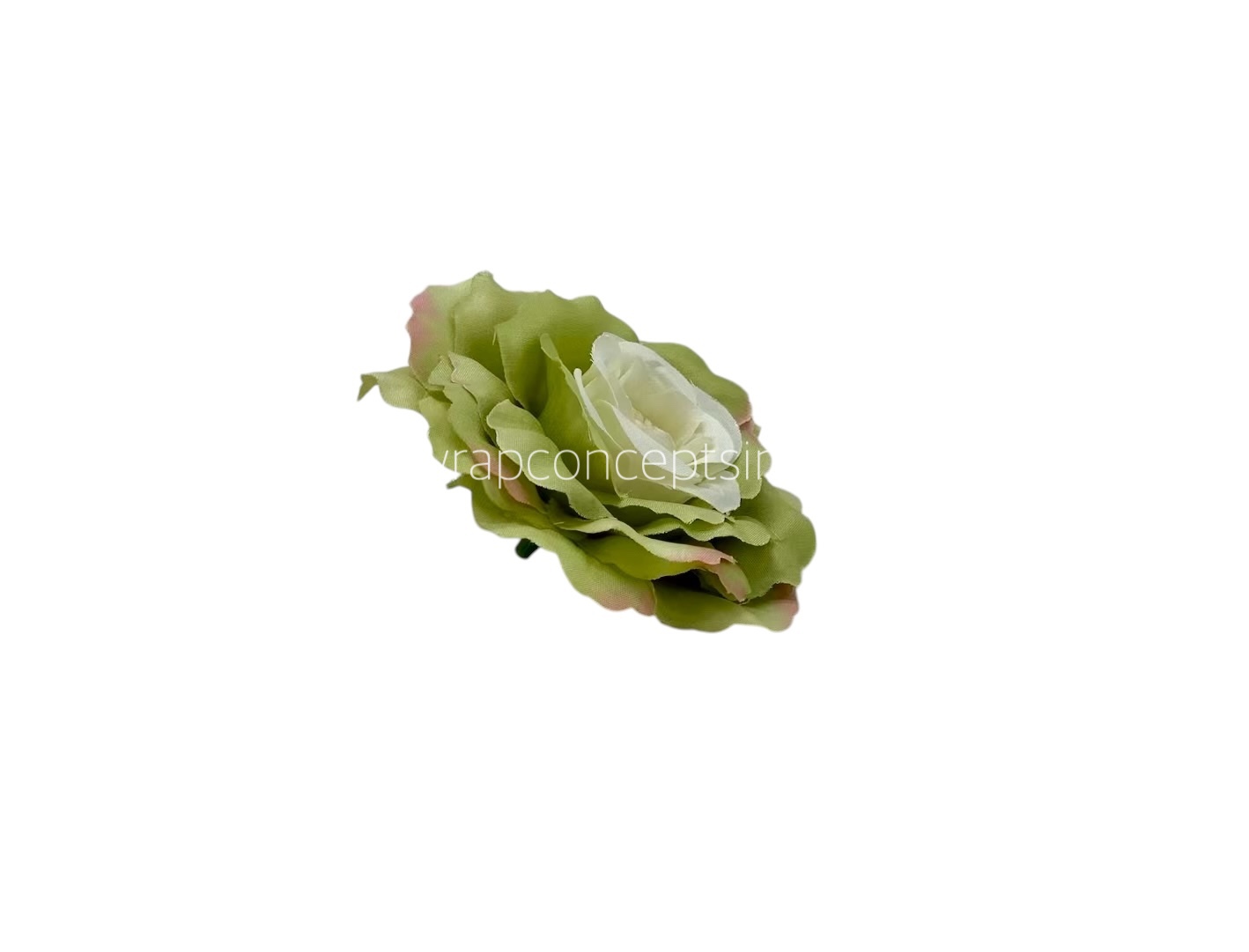 Green Open Rose Green Open Rose