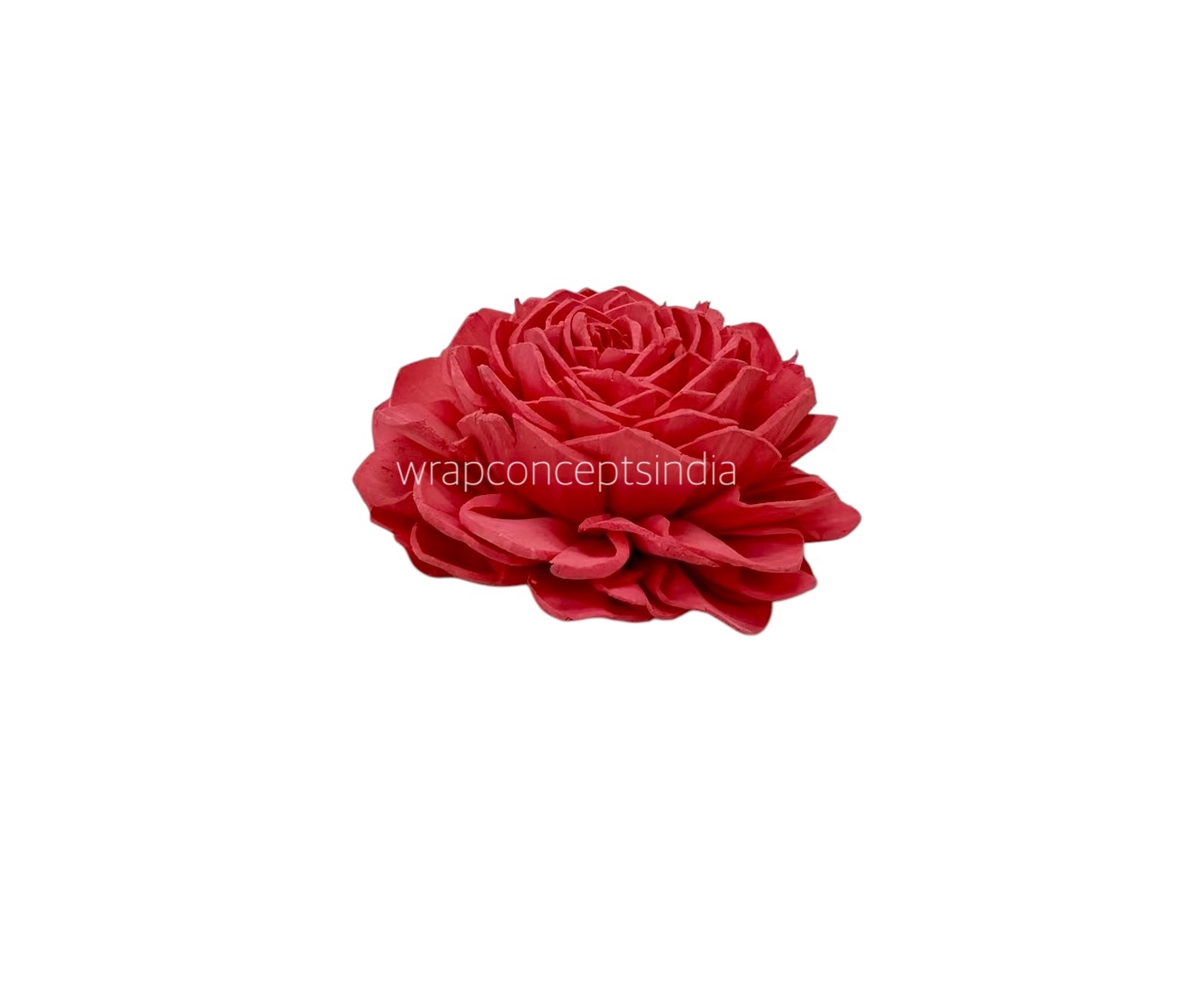 Coral Sola Wood Dahlia