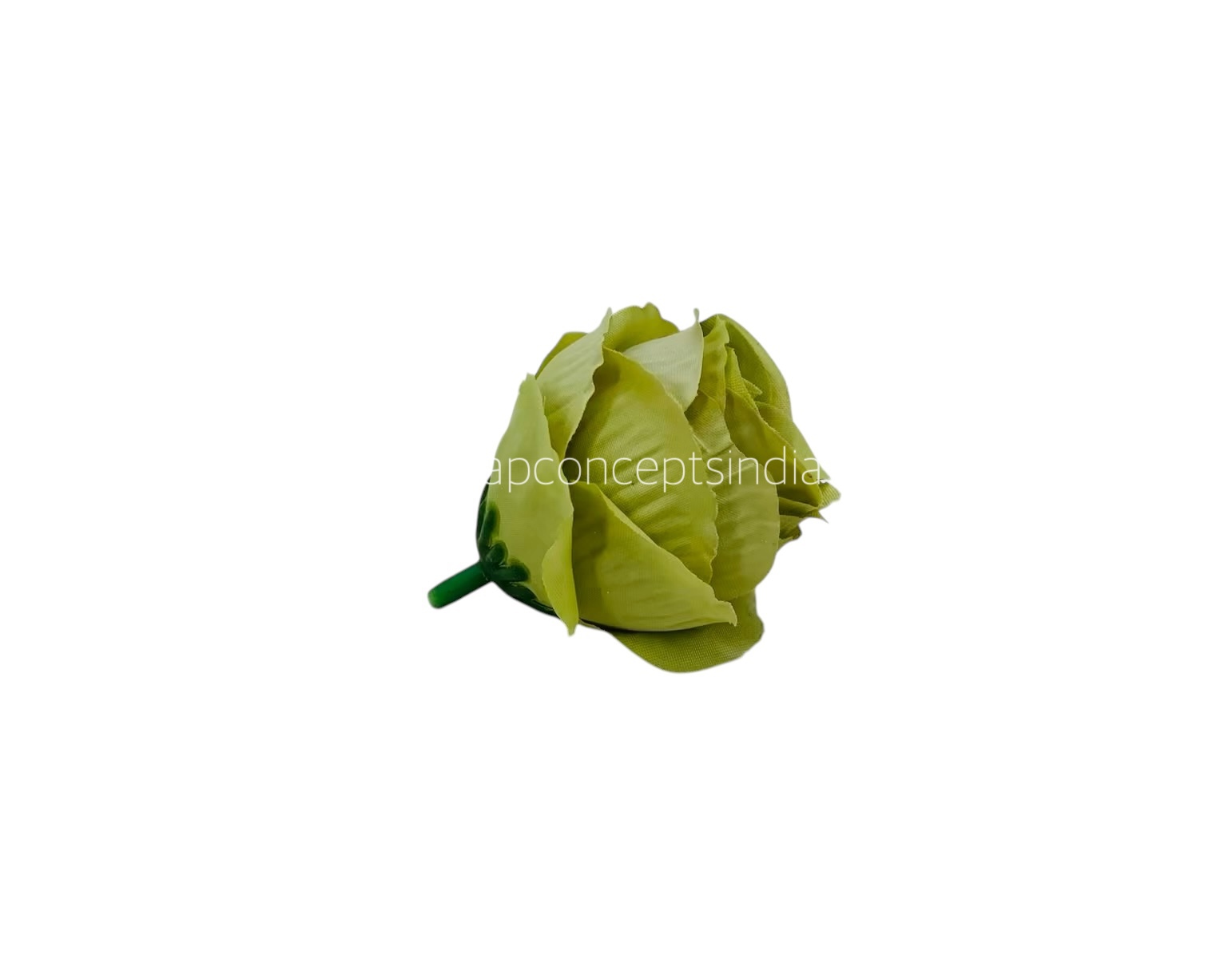 Apple Green Rose Buds Apple Green Rose Buds