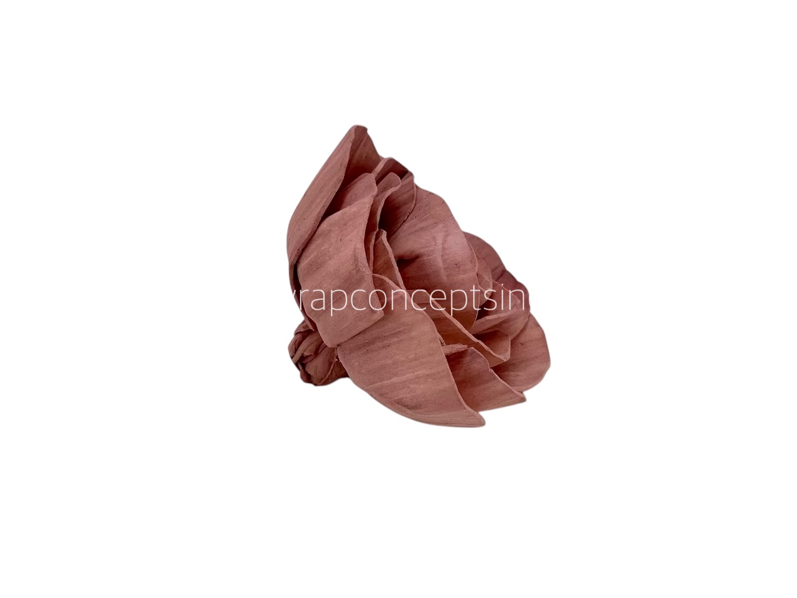 Blush Sola Wood Dear Holly Blush Sola Wood Dear Holly