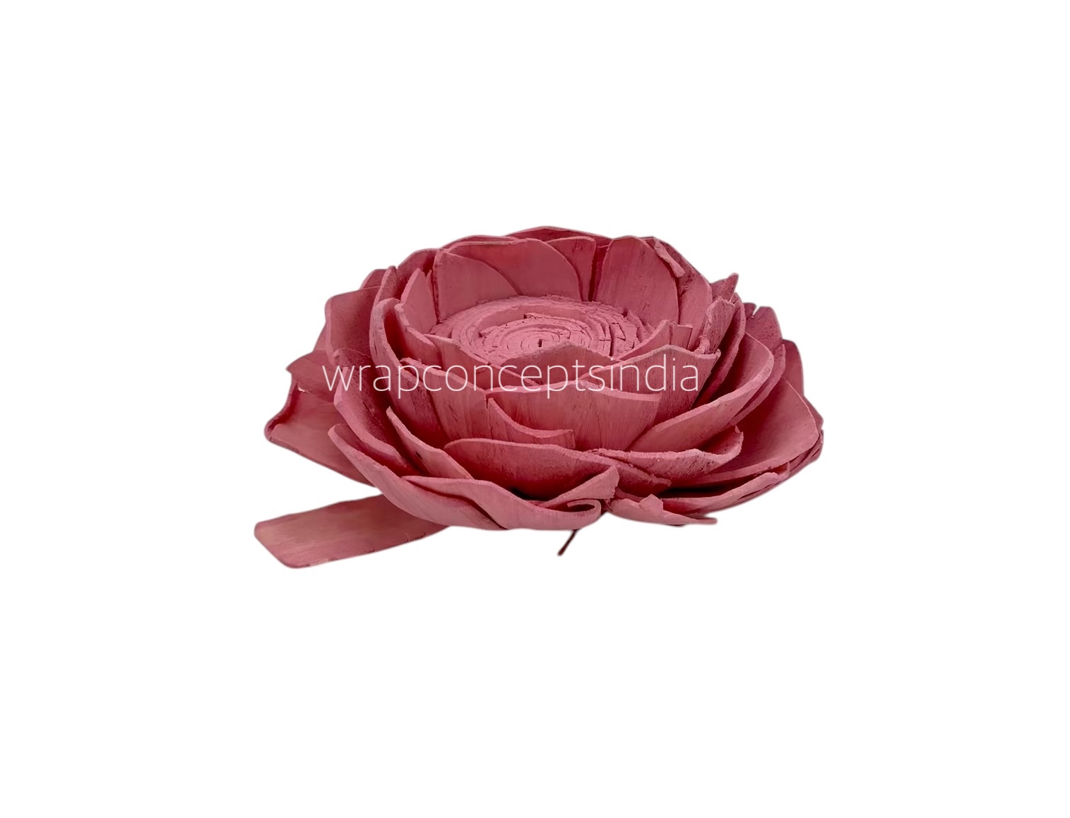 Pink Sola Wood Lotus