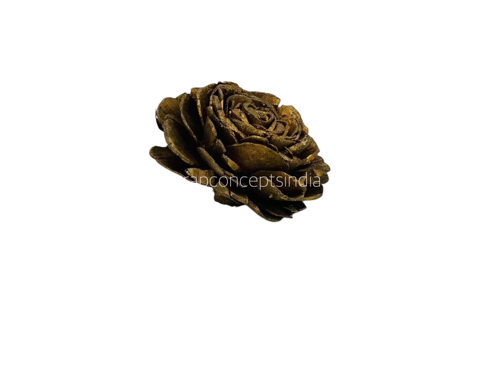 Gold Sola Wood Wesley