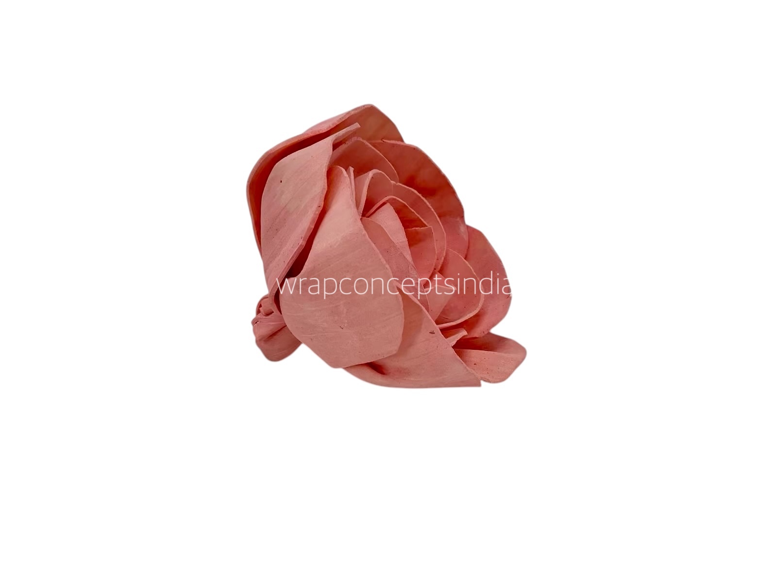 Pink Sola Wood Dear Holly