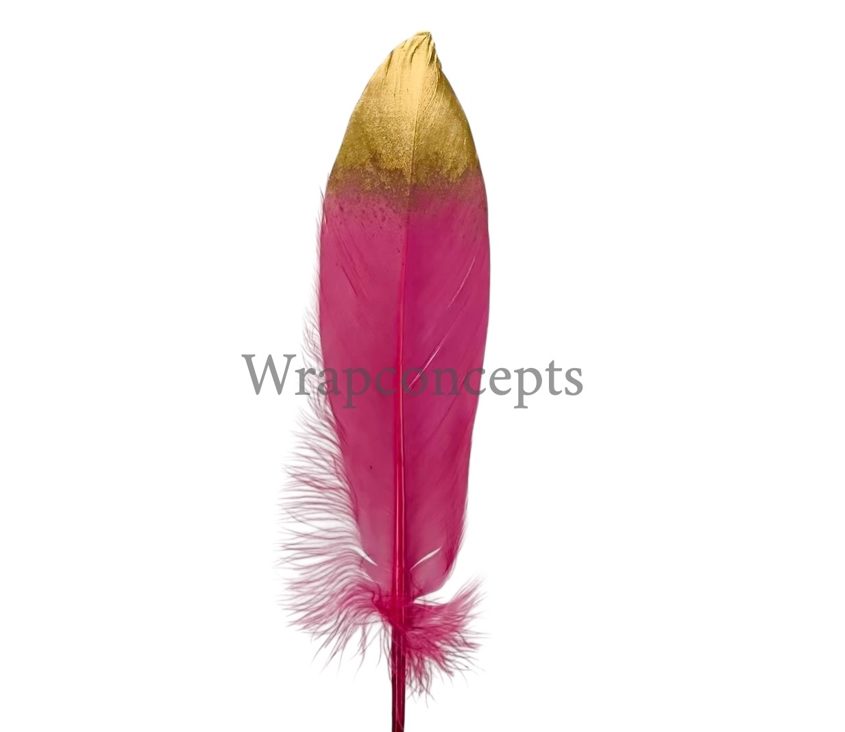 Faux Feather with Gold Edges