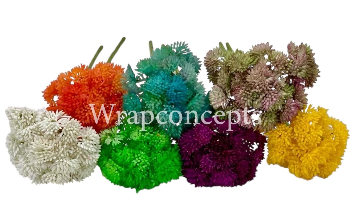 Cacti Flowers  Bunch