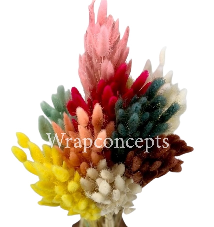 Preserved Bunny Tails