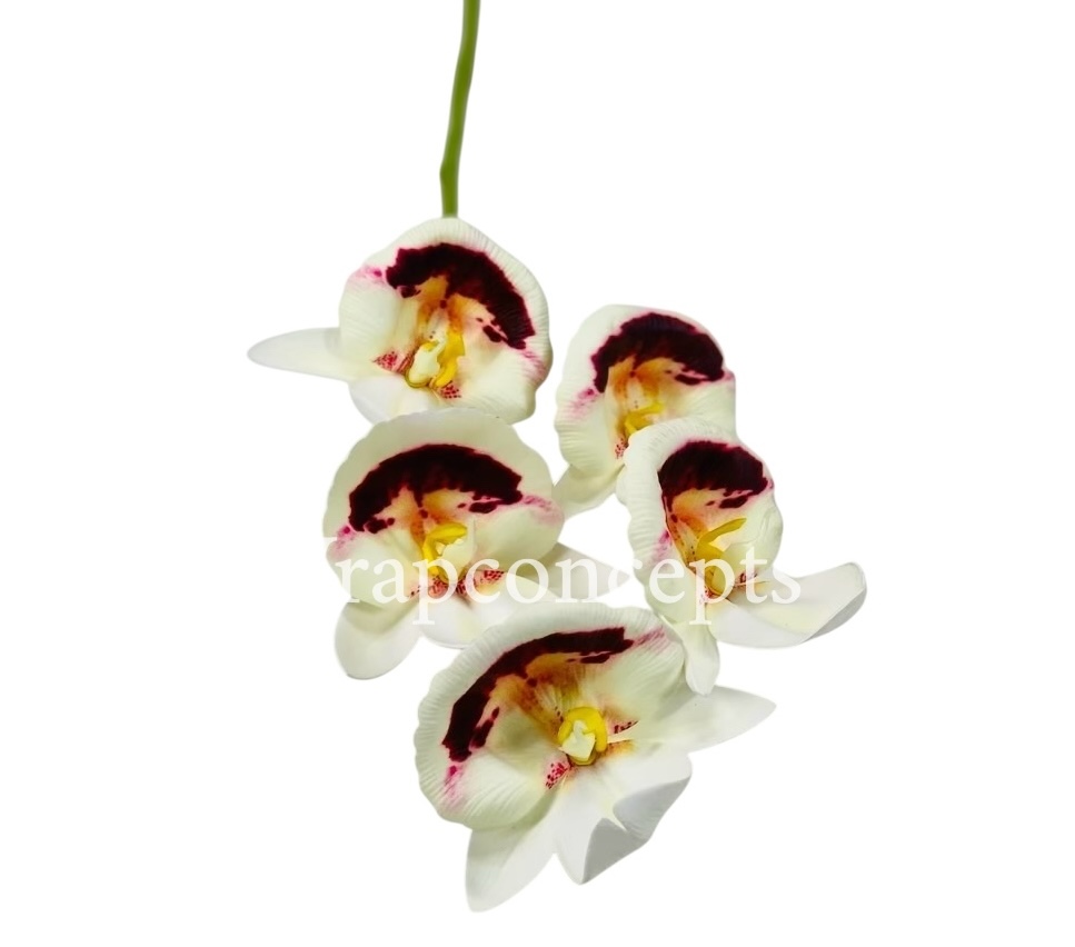 Orchid Sticks - Multicolor Orchid Sticks - Multicolor
