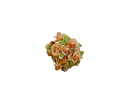 Peach Rose Buds on Stick