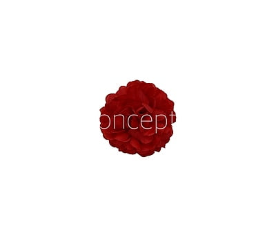 Small Carnation - Red