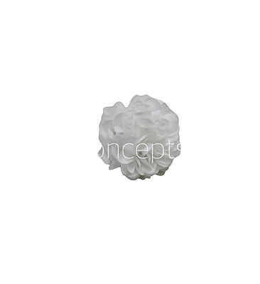 Small Carnation - White Small Carnation - White