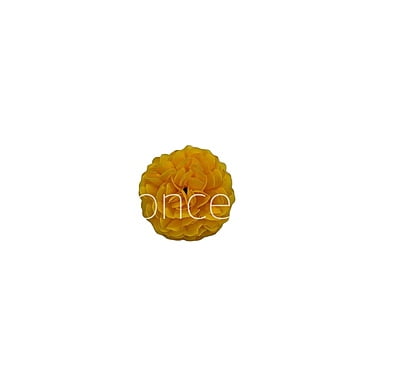 Small Carnation-Yellow Small Carnation-Yellow