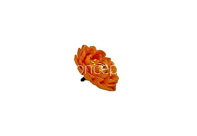Marmalade Small Dahlias Marmalade Small Dahlias