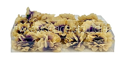 Big Petunia Flower - Beige with Purple Big Petunia Flower - Beige with Purple