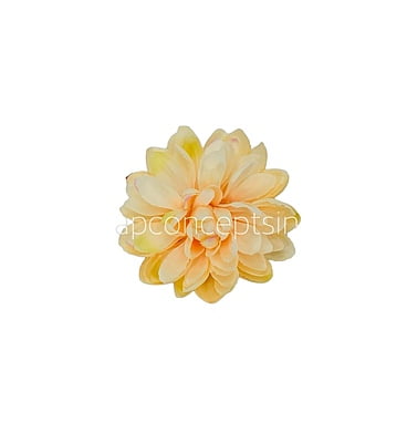 Peach Dahlias Peach Dahlias