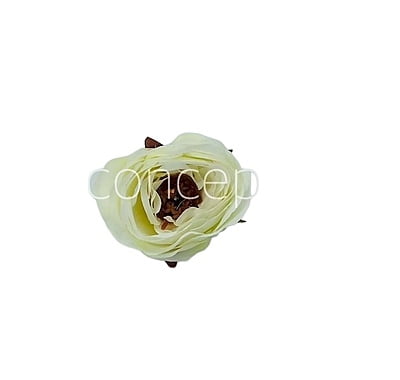Camellia Flower - White with Maroon Centre