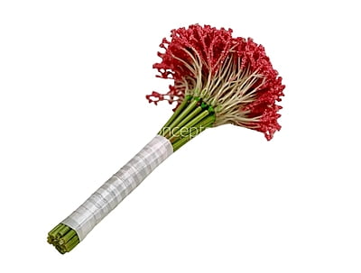 Baby Breath's Bunch