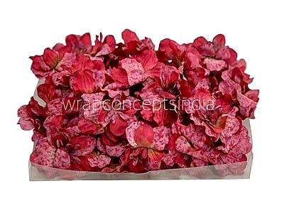 Cherry Red Textured Petunias Cherry Red Textured Petunias
