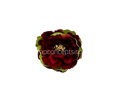Red Peony Buds