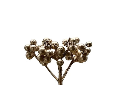 Champagne Fern