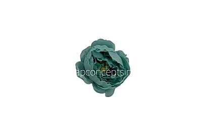 Aqua Blue Peonies