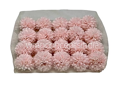 Carnation - Baby Pink