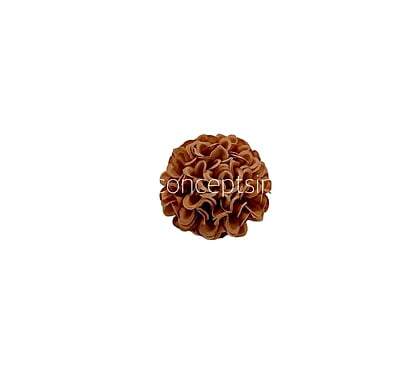 Cherry Wood Carnation