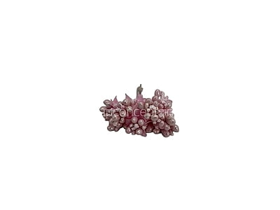 Rose Pink Pollens