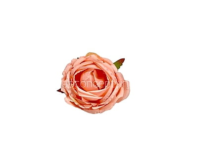 Left over Big Peony -Blush Left over Big Peony -Blush