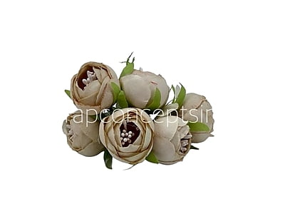 Peonies on stick - Sand Peonies on stick - Sand