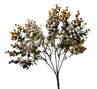 Eucalyptus Leaves Bunch - Brown/Light Green
