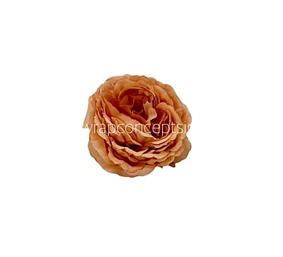 Small Ornate Peony-Blush