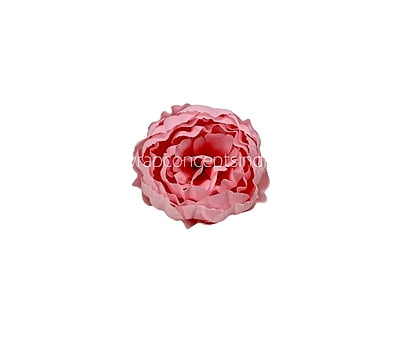 Candy Pink Peony
