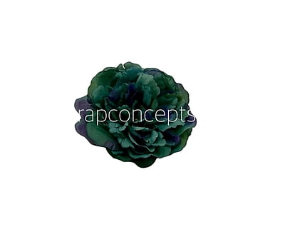 Green with hints of Blue Moutan Peony