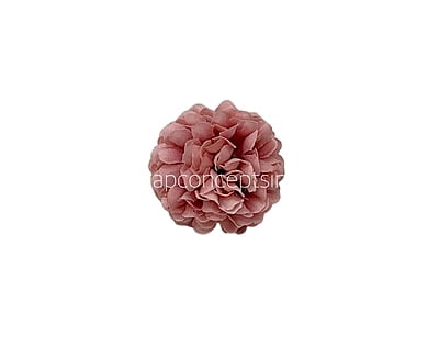 Small Carnation - Flamingo